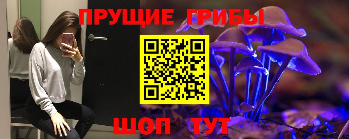 Южно-Сахалинск  Псилоцибиновые грибы GOLDEN TEACHER  Вход с VPN 